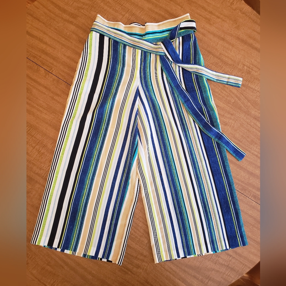 RARE ✨ The Limited Striped Gaucho Pants with Tie Belt (Size 4)